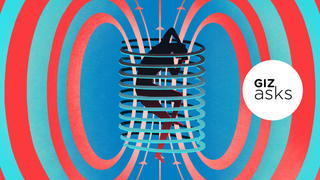 Is Electromagnetic Hypersensitivity a Real Illness?